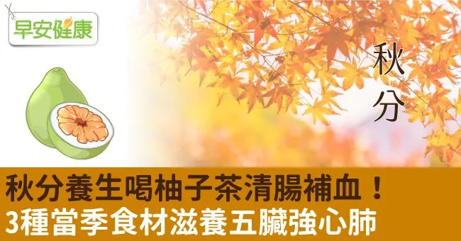 秋分養生喝柚子茶清腸補血！3種當季食材滋養五臟強心肺