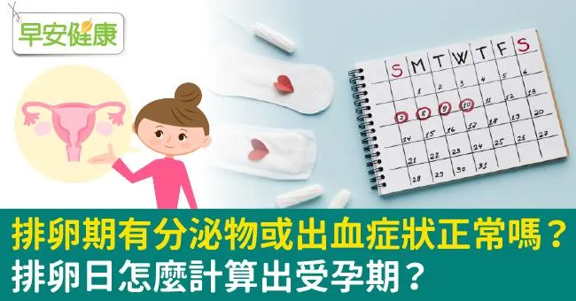 排卵期出血、分泌物變多正常嗎？預測排卵期4方法，想提高懷孕機率這樣做