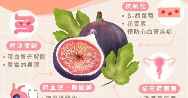 女星產後瘦身的幫手！無花果「生命之果」，抗老降膽固醇吃出4大功效