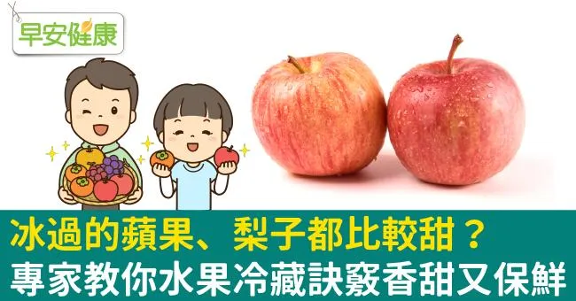 冰過的蘋果、梨子都比較甜？專家教你水果冷藏訣竅香甜又保鮮