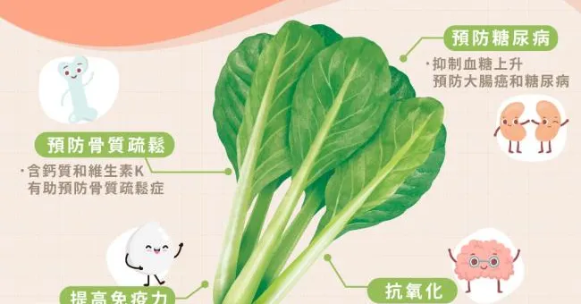 小松菜鈣含量是蔬菜之冠！這樣吃鈣質倍增，越吃越瘦