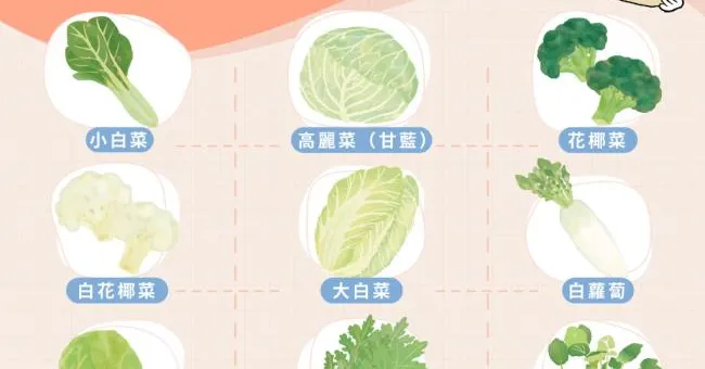 防癌天菜！十字花科蔬菜打造無形自癒力，9種菜菜功效報你知