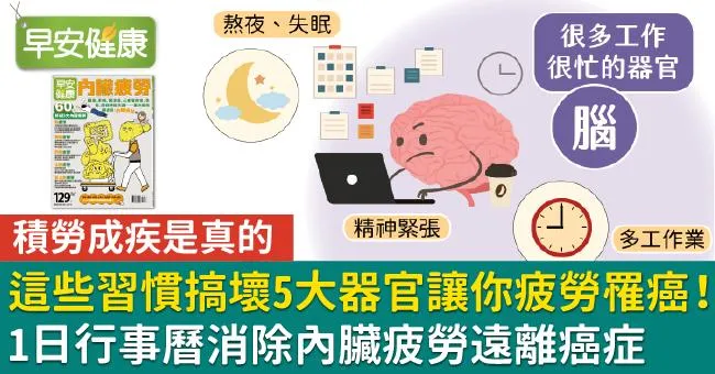 這些習慣搞壞5大器官讓你疲勞罹癌！1日行事曆消除內臟疲勞遠離癌症