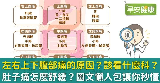 半夜肚子痛怎麼舒緩？左右上下腹部痛的原因？肚子陣痛拉不出來、想吐怎麼辦？該吃什麼、看什麼科？擔心確診！圖文懶人包讓你秒懂