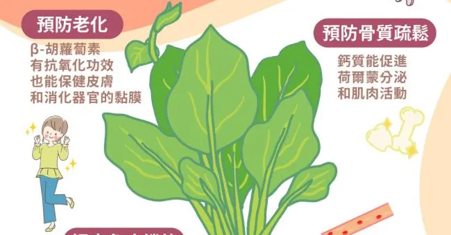 皇宮菜維生素C不輸菠菜、鈣質比牛奶還多！補鈣鐵、抗氧化吃出4大好處