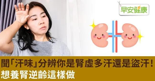 聞「汗味」分辨你是腎虛多汗還是盜汗！想養腎逆齡這樣做