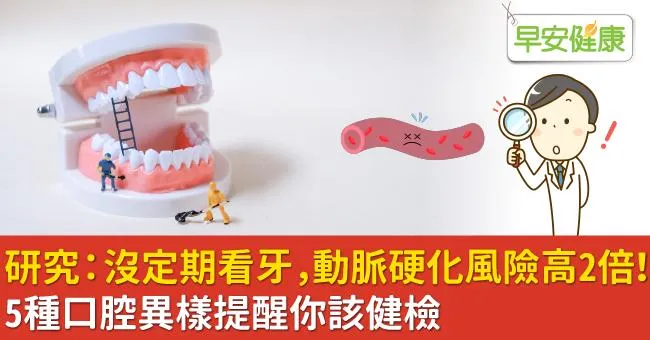研究：沒定期看牙，動脈硬化風險高2倍！5種口腔異樣提醒你該健檢