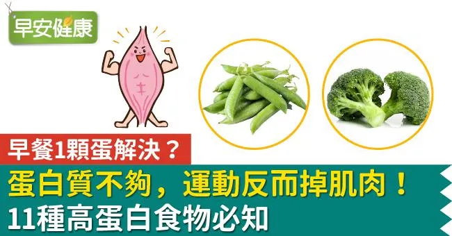 早餐1顆蛋解決？蛋白質不夠，運動反而掉肌肉！11種高蛋白食物必知