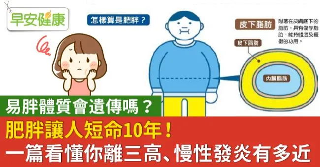 肥胖讓人短命10年！一篇看懂你離三高、慢性發炎有多近