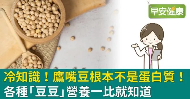 冷知識！鷹嘴豆根本不是蛋白質！各種「豆豆」營養一比就知道