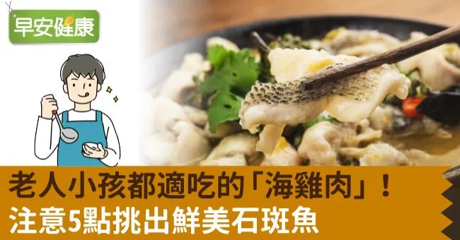 老人小孩都適吃的「海雞肉」！注意5點挑出鮮美石斑魚