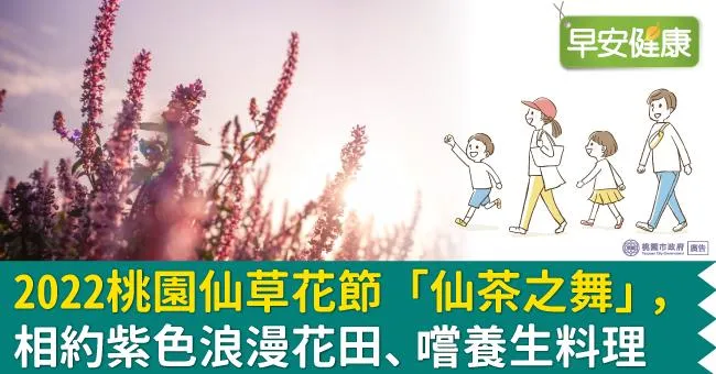 2022桃園仙草花節「仙茶之舞」，相約紫色浪漫花田、嚐養生料理