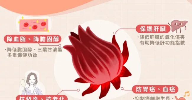 來杯洛神花茶熱熱喝！防癌降血脂4大功效，但3種人不適合多喝