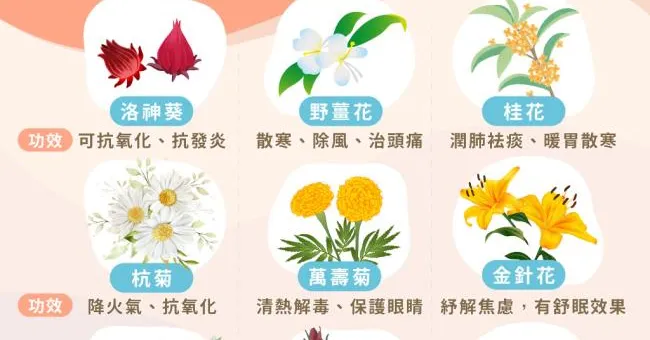 天然草本療癒力！9種可以吃的「食用花」防癌、舒壓、抗感冒