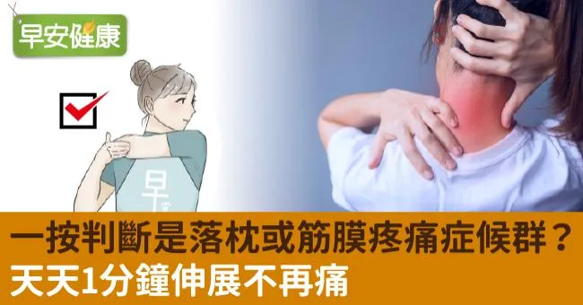 一按判斷是單純落枕或筋膜疼痛症候群？天天1分鐘伸展不再痛
