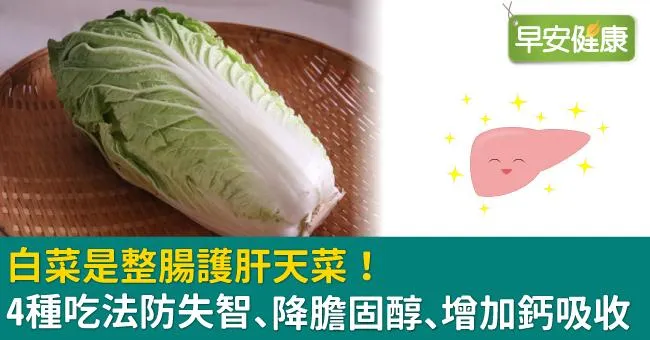 白菜是整腸護肝天菜！4種吃法防失智、降膽固醇、增加鈣吸收