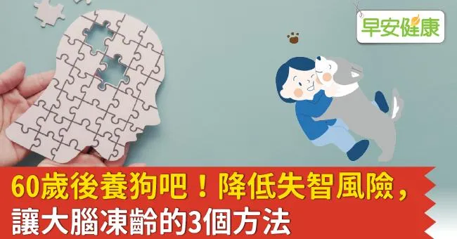 60歲後養狗吧！降低失智風險，讓大腦凍齡的3個方法