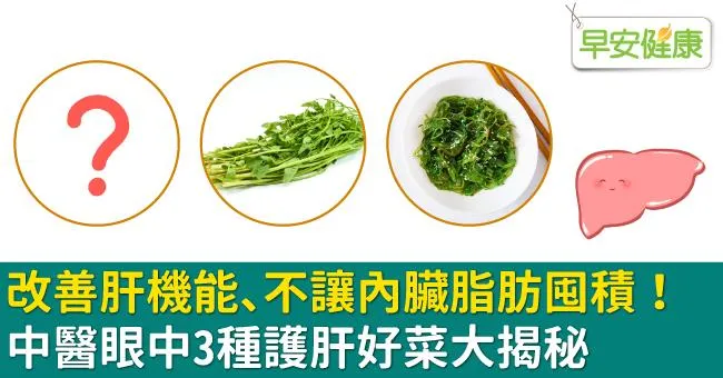 改善肝機能、不讓內臟脂肪囤積！中醫眼中3種護肝好菜大揭秘
