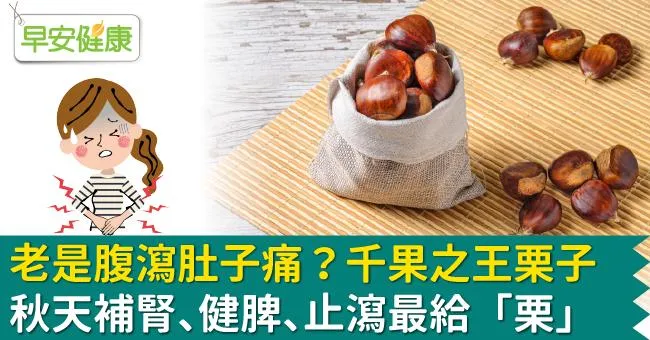 老是腹瀉肚子痛？千果之王栗子，秋天補腎、健脾、止瀉最給「栗」