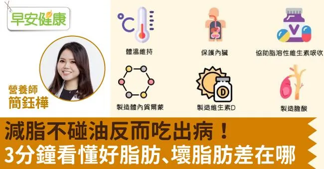 減脂不碰油反而吃出病！3分鐘看懂好脂肪、壞脂肪差在哪