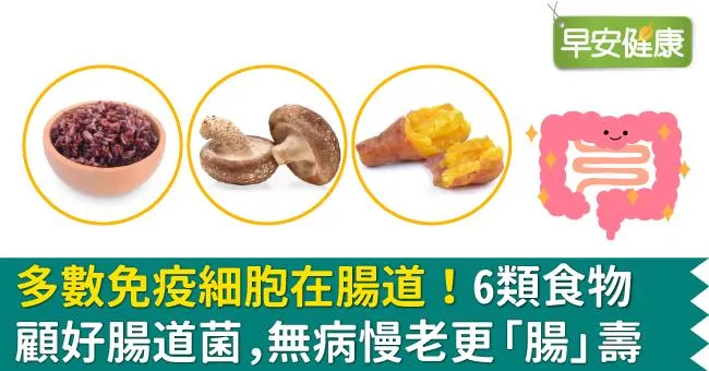 多數免疫細胞在腸道！6類食物顧好腸道菌，無病慢老更「腸」壽