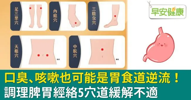 口臭、咳嗽也可能是胃食道逆流！調理脾胃經絡5穴道緩解不適