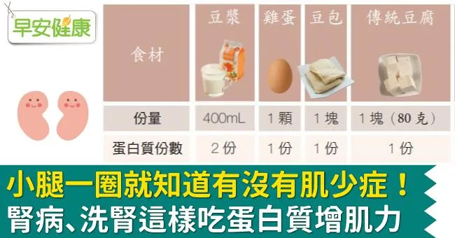 小腿一圈就知道有沒有肌少症！腎病、洗腎這樣吃蛋白質增肌力