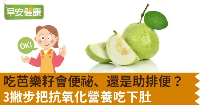 吃芭樂籽會便祕、還是助排便？3撇步把抗氧化營養吃下肚