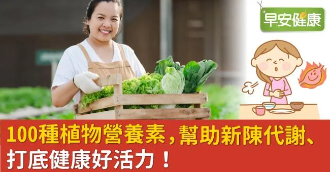 100種植物營養素，幫助新陳代謝、打底健康好活力！