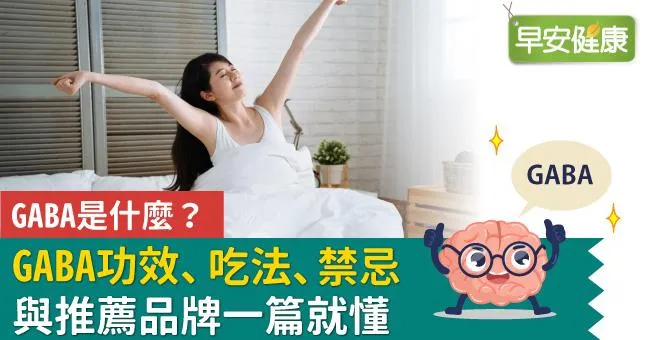 GABA是什麼？ GABA功效、吃法、禁忌與推薦品牌一篇就懂