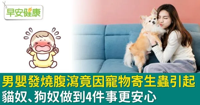 男嬰發燒腹瀉竟因寵物寄生蟲引起！貓奴、狗奴做到4件事更安心
