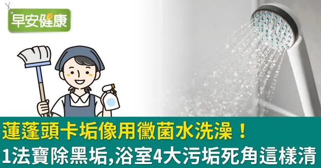 蓮蓬頭卡垢像用黴菌水洗澡！1法寶除黑垢，浴室4大污垢死角這樣清