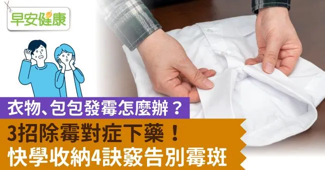 衣物、包包發霉怎麼辦？3招除霉對症下藥！快學收納4訣竅告別霉斑
