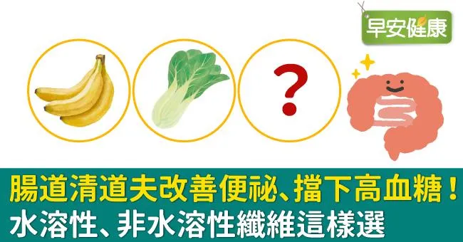 腸道清道夫改善便祕、擋下高血糖！水溶性、非水溶性纖維這樣選