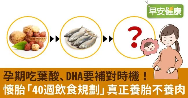 孕期吃葉酸、DHA要補對時機！懷胎「40週飲食規劃」真正養胎不養肉