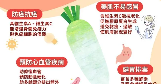 把握白蘿蔔產季尾聲！抗癌保胃降血壓，最佳吃法告訴你