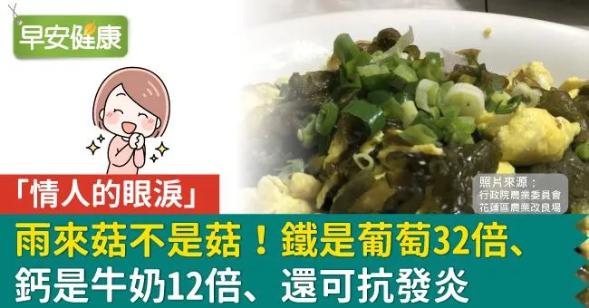 雨來菇「情人的眼淚」不是菇！鐵是葡萄32倍、鈣是牛奶12倍、還可抗發炎