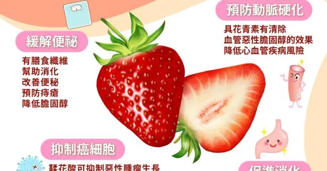 當季草莓大顆又甜！美國癌協會認證：對抗4種癌症功效超乎你想像