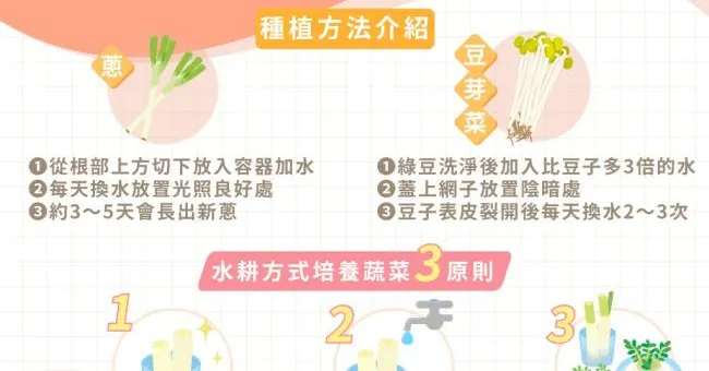 菜梗別急著丟！「以菜種菜」3原則輕鬆再生青蔥、豆芽菜