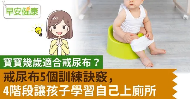 寶寶幾歲適合戒尿布？戒尿布5個訓練訣竅，4階段讓孩子學習自己上廁所