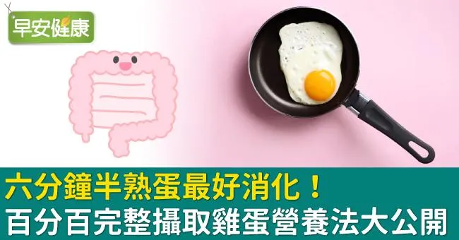 六分鐘半熟蛋最好消化！百分百完整攝取雞蛋營養法大公開