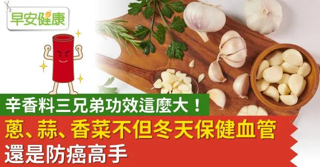 辛香料三兄弟功效這麼大！蔥、蒜、香菜不但冬天保健血管，還是防癌高手