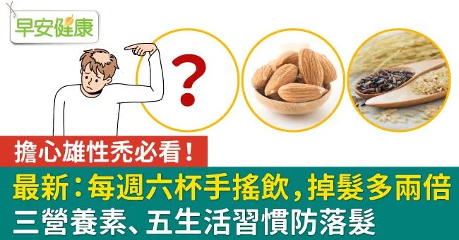 擔心雄性禿必看！最新研究：每周6杯以上掉髮多兩倍，三營養素、五生活習慣防落髮