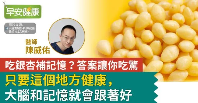 吃銀杏補記憶？答案讓你吃驚！只要這個地方健康，大腦和記憶就會跟著好