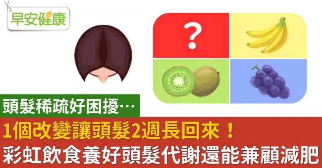 頭髮好稀疏…1個改變讓頭髮2週長回來！彩虹飲食養好頭髮代謝還能兼顧減肥