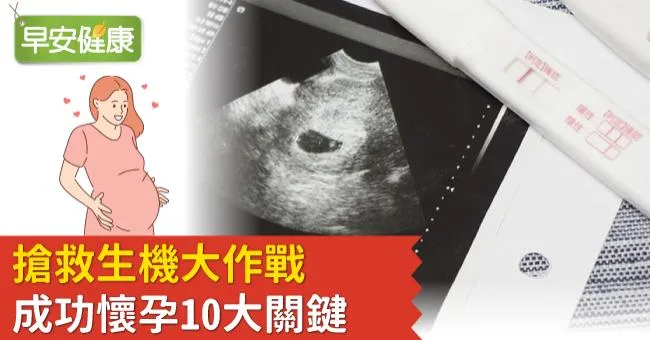 每月卵子保鮮期只有24小時！10個重點提高懷孕機率：男女營養這樣補