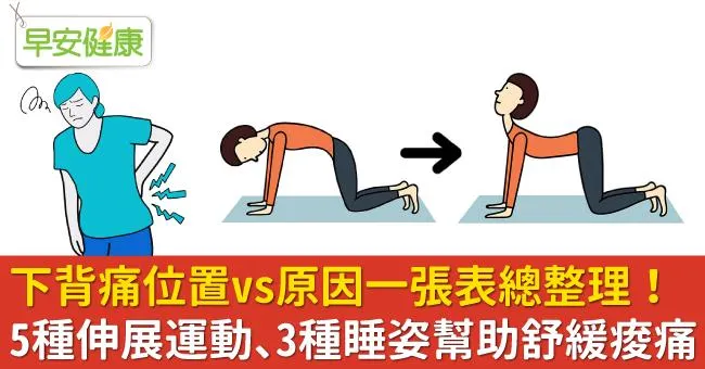 下背痛位置與原因，一張表格看鑑別診斷！下背部痠痛如何舒緩？從伸展運動到睡覺姿勢一次瞭解