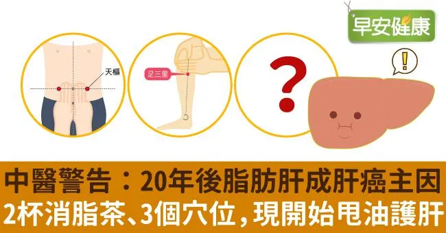 中醫警告：20年後脂肪肝成肝癌主因！2杯消脂茶、3個穴位，現在開始甩油護肝
