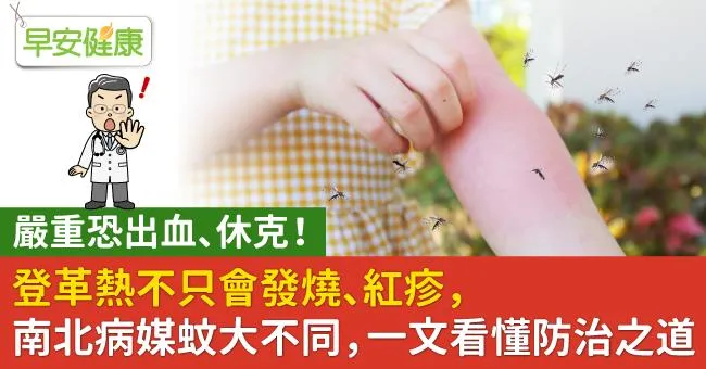 登革熱今年首例死亡！ 登革熱症狀不只發燒紅疹，嚴重恐引發出血休克！登革熱病毒傳染途徑、預防方法一文看懂