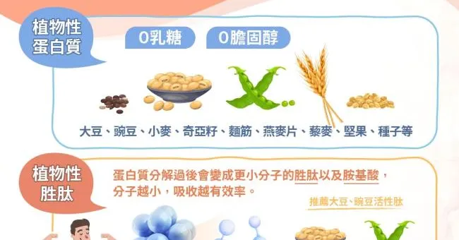 小分子成就大肌肉？活性胜肽促進生成強健肌肉！